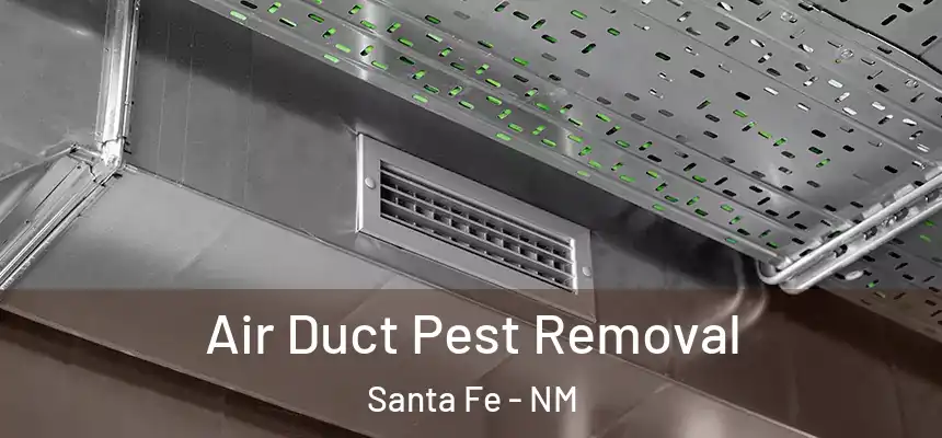 Air Duct Pest Removal Santa Fe - NM
