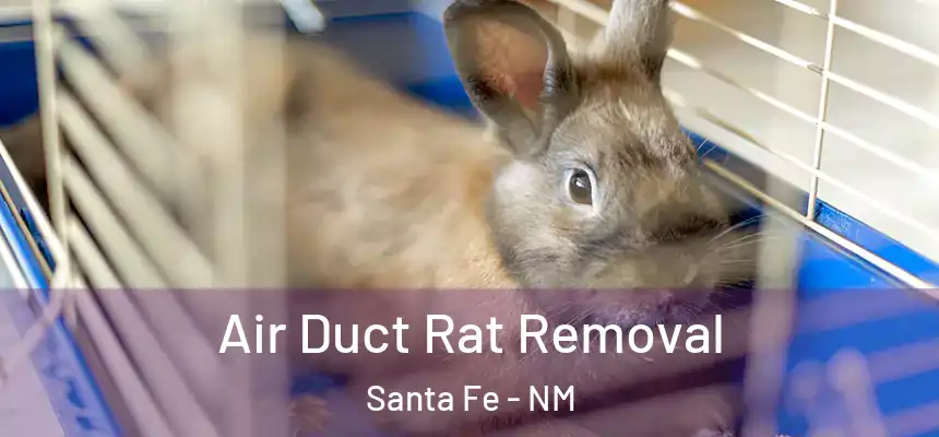 Air Duct Rat Removal Santa Fe - NM