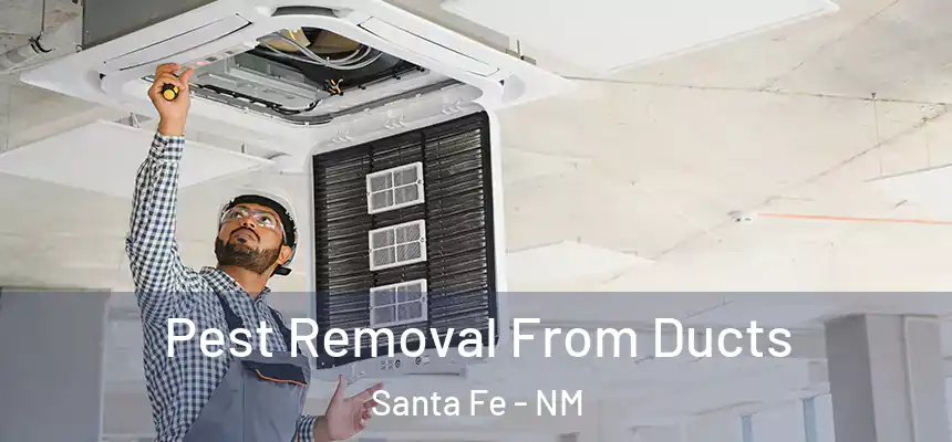 Pest Removal From Ducts Santa Fe - NM