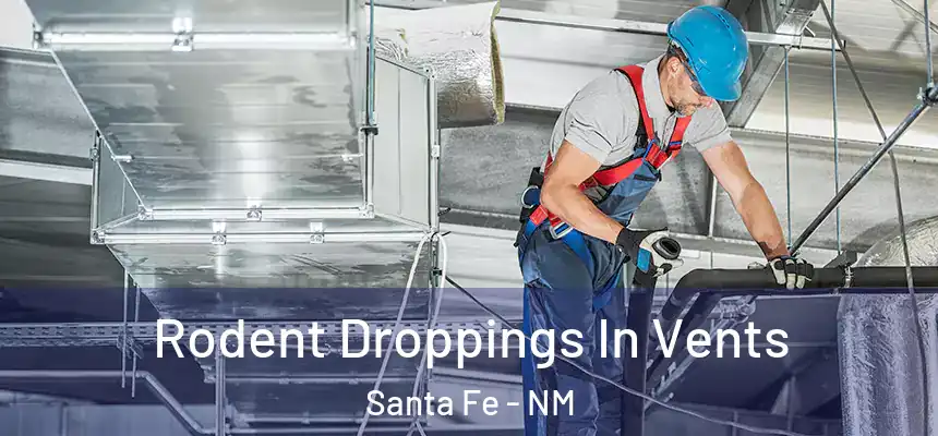 Rodent Droppings In Vents Santa Fe - NM