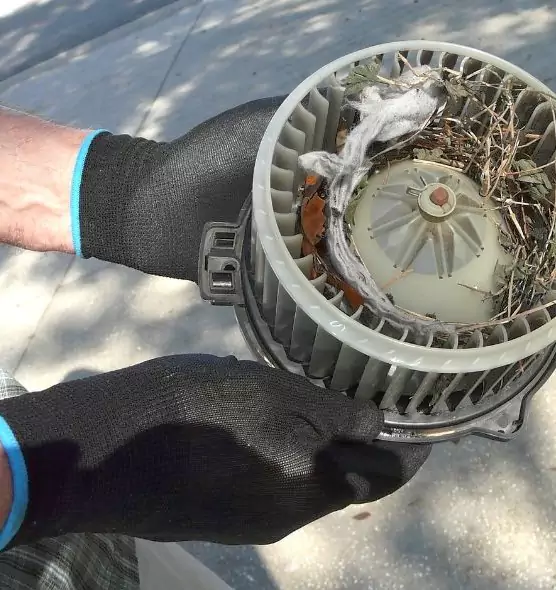 About Air Duct Mice Removal in Santa Fe, NM