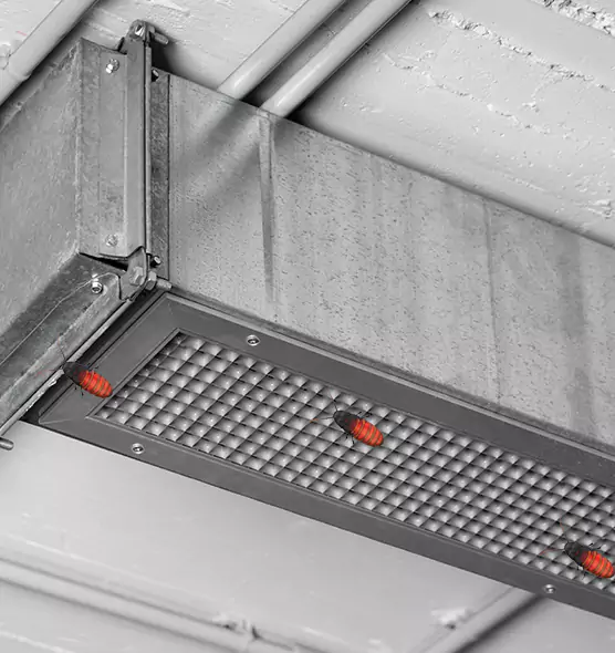 Affordable Insect Removal from Air Ducts in Santa Fe, NM