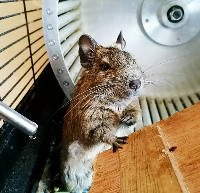 Why Homeowners & Businesses Trust Us Santa Fe, NM